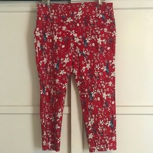 Pull On Ladies Capri Pants 🌹